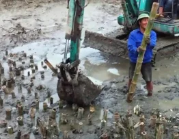 Cerucuk Bambu untuk Tanah Lunak, Fungsi, Jenis, dan Materialnya