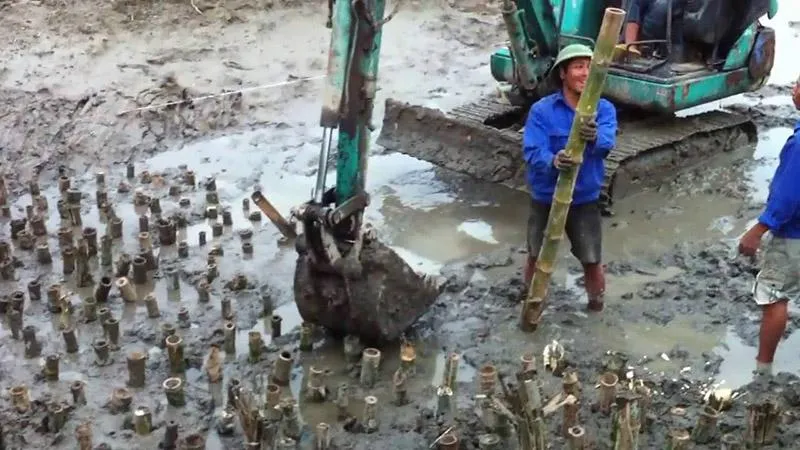 Cerucuk Bambu untuk Tanah Lunak, Fungsi, Jenis, dan Materialnya